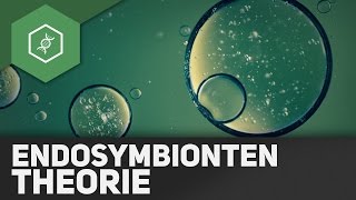 Endosymbiontentheorie [upl. by Tine]