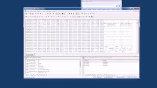 CIT2553 How to extract word document using hex editor [upl. by Suravart867]