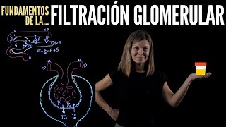 Nefrología III Filtración glomerular [upl. by Dayiz950]