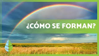 ¿Qué es un ARCOÍRIS 🌈 Cómo se forma y tipos de ARCO ÍRIS [upl. by Ahseram]