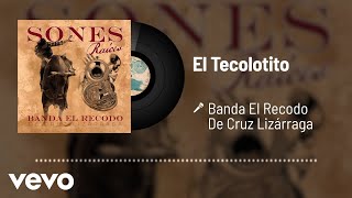 Banda El Recodo De Cruz Lizárraga  El Tecolotito Audio [upl. by Aciretal]