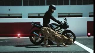 Bike and cheetah ya lili ya lela remix songs 2019 y2h statas [upl. by Hamirak704]