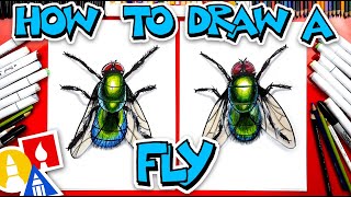 How To Draw A Realistic Fly [upl. by Filmore929]