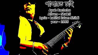 Palate Chai Ayub Bachchu [upl. by Sneed384]