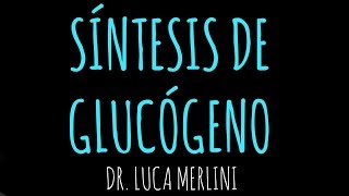 Síntesis de Glucógeno [upl. by Carder]