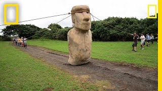 Scientists Make Easter Island Statue Walk  National Geographic [upl. by Esertap]