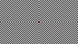 INSANE OPTICAL ILLUSION [upl. by Acimat]