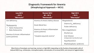 What is Sickle Cell Anemia [upl. by Nosemaj]