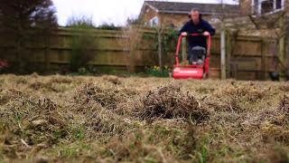 Lawn Scarification  Correct Scarification Procedure [upl. by Yolanthe]