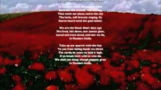 In Flanders Fields Song New Melody [upl. by Wilen393]