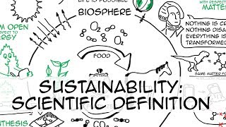 Sustainability simple definition whiteboard animation [upl. by Popelka758]