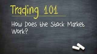 Trading 101 How Does the Stock Market Work [upl. by Zorah110]