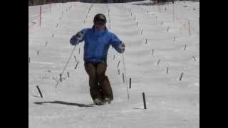 Mogul skiing Skills Demo [upl. by Omsoc]