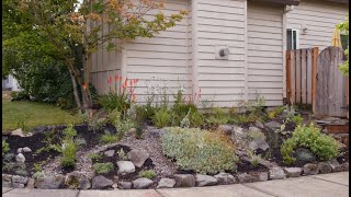 How to Build a Rain Garden  Urban Conservation [upl. by Haelam]