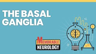 Basal Ganglia Mnemonics Memorable Neurology Lecture 4 [upl. by Clift]