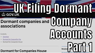 Filing Dormant Limited Company Accounts Part 1 Accounts to Companies House [upl. by Saba]