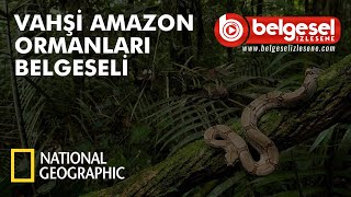 Vahşi Amazon Ormanları Belgeseli  Türkçe Dublaj [upl. by Eimor691]