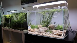 River Bottom Aquascape Tutorial  Easy Aquascape added to the Aquarium Gardens Showroom [upl. by Havot]