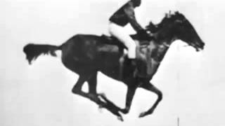 The horse in motion Eadweard Muybridge 1878 First Film Ever [upl. by Zolner416]