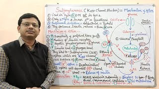 Diabetes Mellitus Part10 Mechanism of Action of Sulfonylurease  Antidiabetic Drugs  Diabetes [upl. by Birecree]