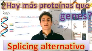 Splicing alternativo Síntesis de proteínas EN 5 MINUTOS [upl. by Aisorbma]