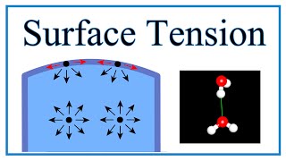 Surface Tension of Water Explained [upl. by Alat]