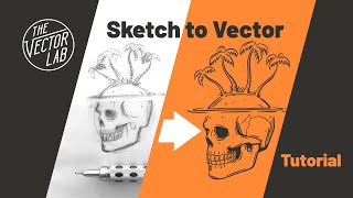 Convert Drawings Into VECTOR Graphics • Illustrator amp Procreate Tutorial [upl. by Neerhtak368]