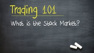 Trading 101 What is the Stock Market [upl. by Morentz25]