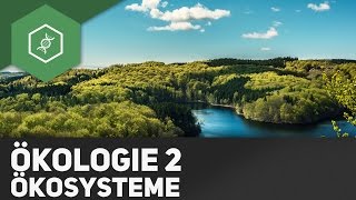 Ökosysteme  Ökologie 2 [upl. by Rawde6]