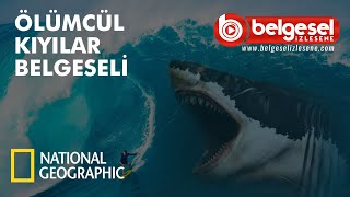 Ölümcül Kıyılar Türkçe Dublaj Belgeseli  Türkçe Dublaj [upl. by Gabie]