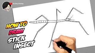 How to draw Stick Insect [upl. by Atteloiv]