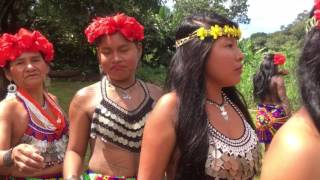 Tour of the Embera Indigenous Community in Panama [upl. by Eehsar555]