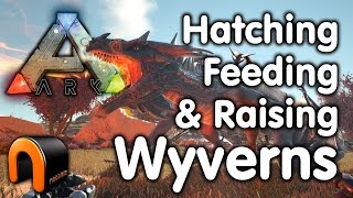 Ark Wyverns  How to Hatch Feed amp Raise Wyvens [upl. by Pearl]