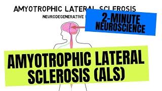 Systemic Sclerosis Scleroderma  MedicalSurgical Immune  LevelUpRN [upl. by Esojnauj]