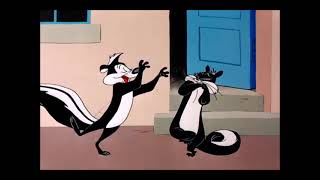 Penelope Pussycat amp Pepé Le Pew Wooing Compilation  Looney Tunes [upl. by Eelik]