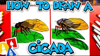 How To Draw A Cicada Insect [upl. by Rogovy82]