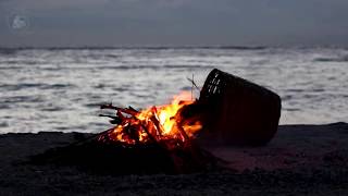 🔥 Campfire Bonfire on the Beach with the Sound of Relaxing Ocean Waves amp Crackling Burning Firewood [upl. by Nnylcaj]