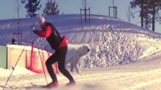 The Most Funniest Ski Fails Compilation [upl. by Einahpad]