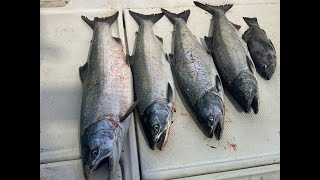 Westcoast Salmon Fishing Ucluelet BC [upl. by Cathryn619]