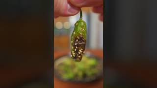 Have You Ever Made Blistered Shishito Peppers [upl. by Okiek]