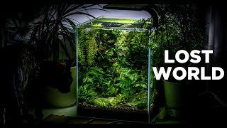 My LostWorld nano tank  The ultimate nature aquarium for beginners [upl. by Dwaine]