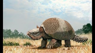 Glyptodonts Glyptodonts Glyptodonts [upl. by Llewellyn]