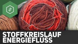 Stoffkreisläufe und Energiefluss  Ökologie [upl. by Erv]