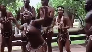 Africa the root of joy music and dance [upl. by Yecies]