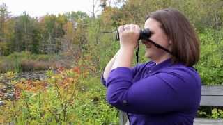 How to get crystal clear focus with your binoculars [upl. by Aikar494]