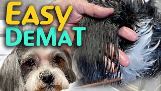 2 EASY WAYS to DeMat your DOG at home NATURALLY [upl. by Bailie552]