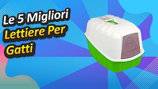 Le 5 Migliori Lettiere Per Gatti [upl. by Kazue]