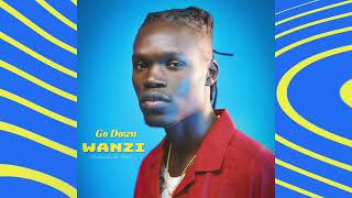 Wanzi  Go Down Official Audio [upl. by Atiuqehs]