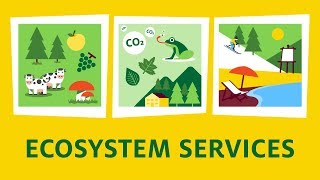 What are ecosystem services [upl. by Celeski]