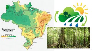 Landschap klimaat en vegetatie van Brazilië [upl. by Irita]